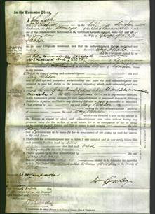 Court of Common Pleas - Mary Fletcher-Original Ancestry