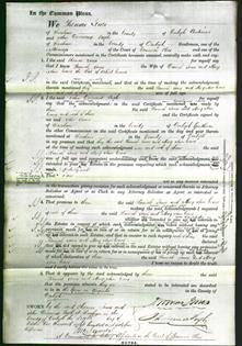 Court of Common Pleas - Hannah Jones and Mary Ann Evans-Original Ancestry