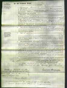 Court of Common Pleas - Bridget Strong-Original Ancestry