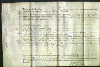 Deed by Married Women - Sarah Charnock Dibb and Mary Ann Charnock Smith-Original Ancestry