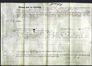Deed by Married Women - Sarah Mountain, Elizabeth Young, Mary Hill and Sophia Hussey-Original Ancestry