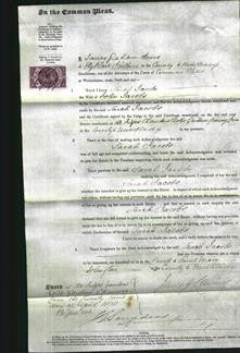 Court of Common Pleas - Sarah Jacobs-Original Ancestry