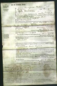 Court of Common Pleas - Sarah Laycock-Original Ancestry