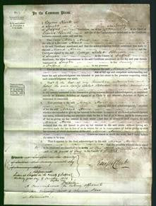 Court of Common Pleas - Maria Ann Alcock-Original Ancestry