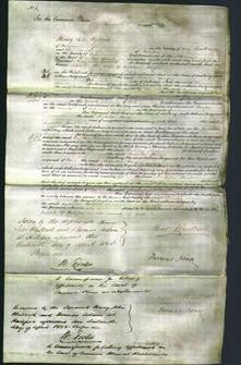 Court of Common Pleas - Arabella Harper-Original Ancestry