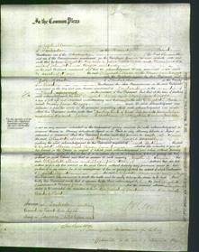 Court of Common Pleas - Elizabeth Mace and Mary Jane Briggs-Original Ancestry