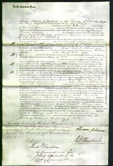 Court of Common Pleas - Elizabeth Johnson and Hannah Lightbound-Original Ancestry