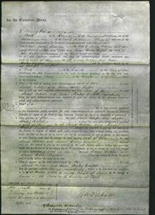 Court of Common Pleas - Sarah Inkpen and Susan Duffett-Original Ancestry