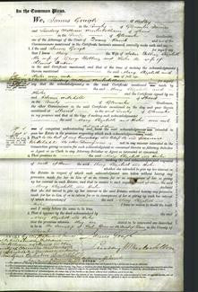 Court of Common Pleas - Mary Dobbins, Elizabeth Dobbins and Hester Dutton-Original Ancestry