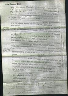 Court of Common Pleas - Elizabeth Bewley-Original Ancestry