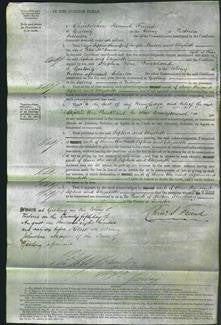 Court of Common Pleas - Sophia Mason and Elizabeth McCann-Original Ancestry