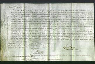 Court of Common Pleas - Mary Hunt-Original Ancestry