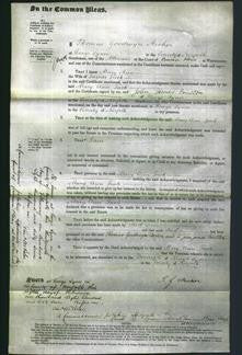 Court of Common Pleas - Mary Ann Tuck-Original Ancestry