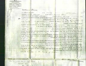 Court of Common Pleas - Mary Forrest-Original Ancestry