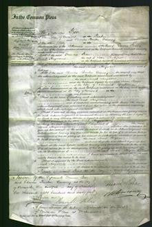 Court of Common Pleas - Sarah Hayward Buttifant-Original Ancestry