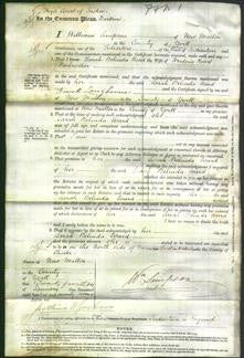 Court of Common Pleas - Sarah Belinda Ward Farbrother-Original Ancestry