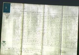 Court of Common Pleas - Mary Turnbull-Original Ancestry