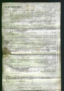 Court of Common Pleas - Charlotte Elizabeth Liddiatt-Original Ancestry