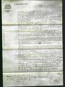 Court of Common Pleas - Ellen Gray Mynors-Original Ancestry