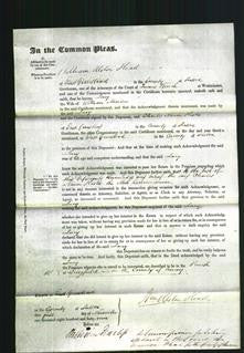 Court of Common Pleas - Lucy Marden-Original Ancestry