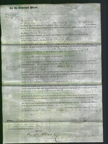 Court of Common Pleas - Eleanor Davies-Original Ancestry