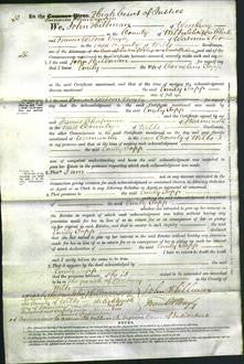 Court of Common Pleas - Emily Topp-Original Ancestry