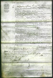 Court of Common Pleas - Elizabeth Williamson-Original Ancestry