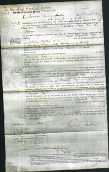 Court of Common Pleas - Elizabeth Day-Original Ancestry