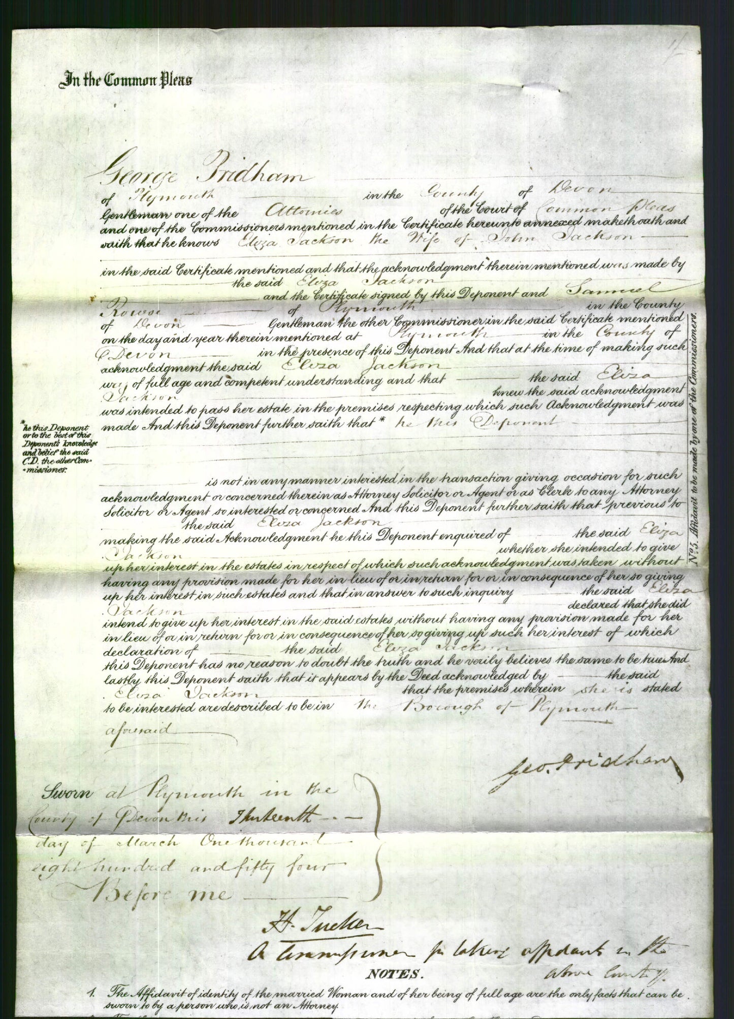 Court of Common Pleas - Eliza Jackson-Original Ancestry