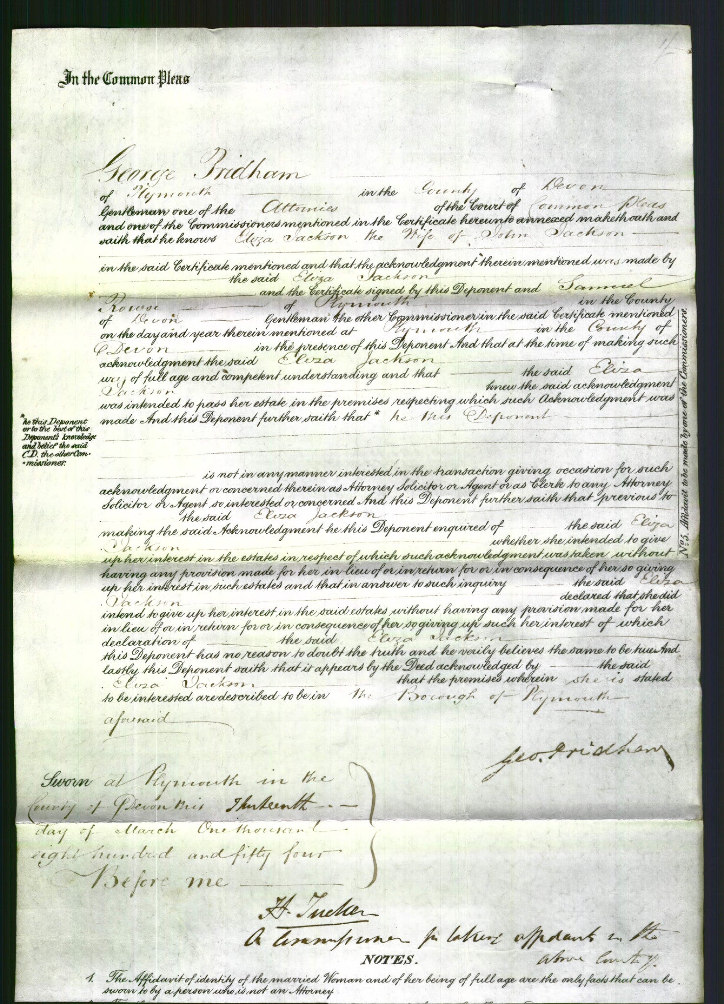 Court of Common Pleas - Eliza Jackson-Original Ancestry