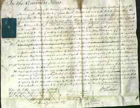 Court of Common Pleas - Mary Thomas-Original Ancestry