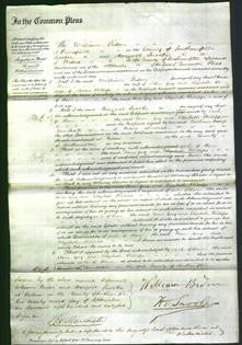 Court of Common Pleas - Ann Guy and Elizabeth Phillips-Original Ancestry