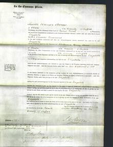 Court of Common Pleas - Elizabeth Punchard-Original Ancestry