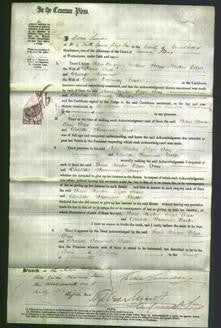 Court of Common Pleas - Jane Newton, Eliza Cross and Charlotte Susannah Baden-Original Ancestry