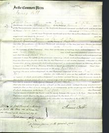 Court of Common Pleas - Sarah Odell-Original Ancestry