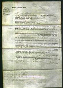 Court of Common Pleas - Mary Ann Leese-Original Ancestry