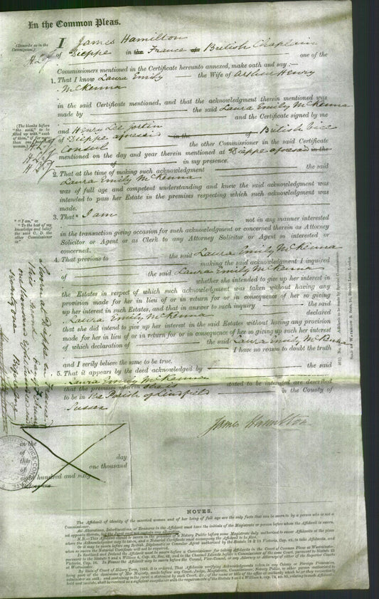 Court of Common Pleas - Laura Emily McKenna