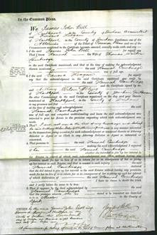 Court of Common Pleas - Hannah Cambridge-Original Ancestry