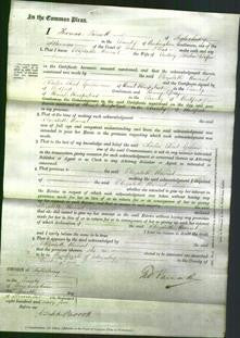 Court of Common Pleas - Elizabeth Harriet Cooper