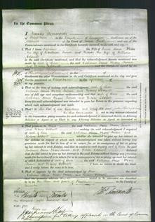 Court of Common Pleas - Catherine Stones, Mary Turner and Nancy Coldwell-Original Ancestry