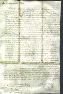 Court of Common Pleas - Sophia Brown-Original Ancestry