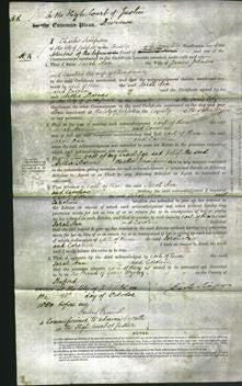 Court of Common Pleas - Sarah Ann Johnson, Caroline Heminsley-Original Ancestry