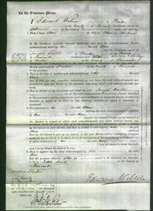 Court of Common Pleas - Ann Hodgson-Original Ancestry