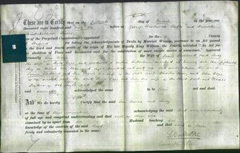 Deed by Married Women - Ann Maria Stoddard and Lucy Cope-Original Ancestry