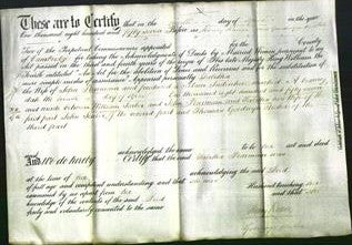 Deed by Married Women - Tabitha Pearmain-Original Ancestry