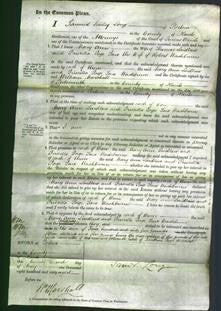 Court of Common Pleas - Mary Ann Laidlaw and Priscilla Page Saw Washburne-Original Ancestry