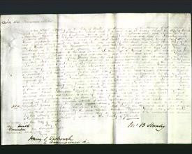 Court of Common Pleas - Sarah Mountain, Elizabeth Young, Mary Hill and Sophia Hussey-Original Ancestry