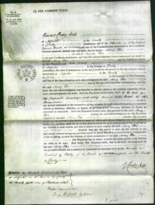 Court of Common Pleas - Mary Else-Original Ancestry