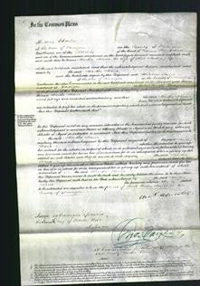 Court of Common Pleas - Martha Maria Gower-Original Ancestry