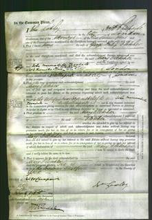 Court of Common Pleas - Mary Fletcher-Original Ancestry